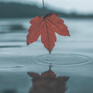 穿着婚纱被强奸新娘的三级片
